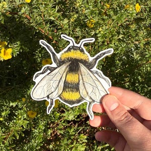 Bee Vinyl Sticker | Weatherproof Stickers | Water-Resistant | Decals