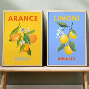 May include: Two framed art prints featuring citrus fruits. One print has oranges with the word "ARANCE" and "SICILY" on a yellow background. The other print has lemons with the word "LIMONI" and "AMALFI" on a blue background.