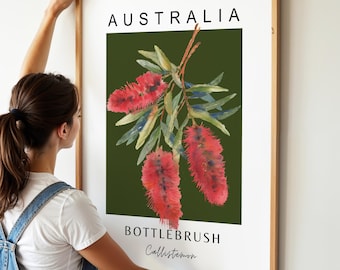 Australian Bottlebrush Printable Wall Art, Aussie Native Trees Print, Modern Botanical Poster, Digital Download