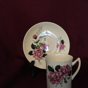 Elizabethian Cup and Saucer by Taylor and Kent