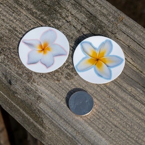 Small Plumeria flower sticker, 2-pack, real photo, water resistant, tropical decal