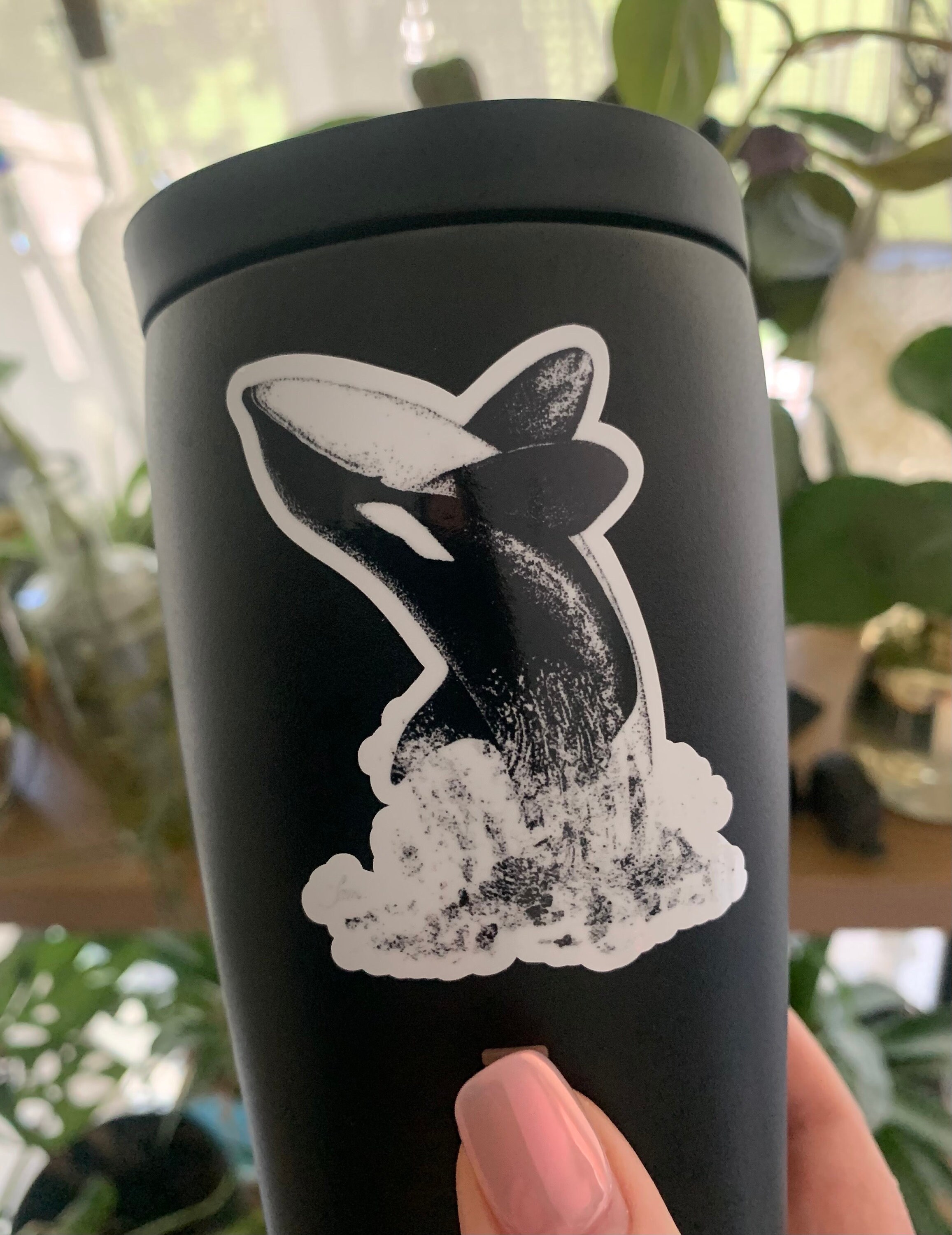 Killer Whale Sticker, Orca Vinyl Sticker, Waterproof and Glossy