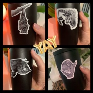 PAQUETE DE PEGATINAS, pegatinas de vinilo de vida silvestre australiana. Compre 4 de los 6 diseños por el precio de 3. ¡Impermeables, brillantes y duraderas!