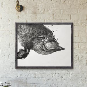 DIGITAL PRINT - Platypus,  Australian Platypus Print, Black and White, Digital Download, Printable Wall Art, Dot Art, Home Decor