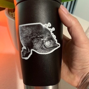Platypus Sticker, Australian Wildlife Vinyl Sticker, Waterproof, Glossy, Cute Animal Decal