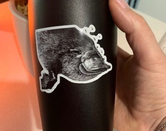 Platypus Sticker, Australian Wildlife Vinyl Sticker, Waterproof, Glossy, Cute Animal Decal
