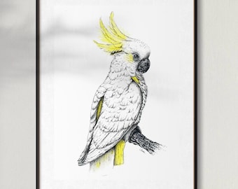 May include: A framed art print featuring a detailed illustration of a white cockatoo with yellow crest feathers. The bird is perched on a branch, with yellow accents on its body. The artwork is set against a white background.