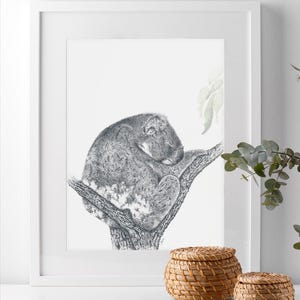 Cute Sleeping Koala A5 Wall Art Koala Nursery Decor Australian Wildlife Artwork 148mm x 210mm