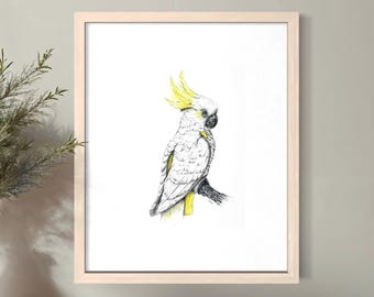 May include: A framed art print featuring a detailed illustration of a white cockatoo with yellow crest feathers. The bird is perched on a branch, rendered in black and white with yellow accents. The artwork is set against a white background within a light wood frame.