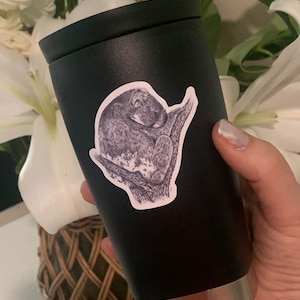 Koala Sticker, Cute Koala Vinyl Sticker, Waterproof, Glossy, Australian Wildlife Decal