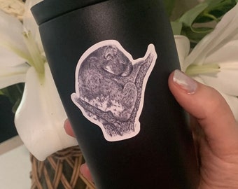 Koala Sticker, Cute Koala Vinyl Sticker, Waterproof, Glossy, Australian Wildlife Decal