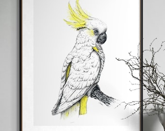 May include: A framed art print featuring a detailed illustration of a cockatoo. The bird is depicted in black and white with yellow accents on its crest and tail. The artwork is set against a white background, framed in black, and suitable for home decor.