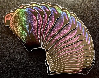 Elephant Sticker, Rainbow Elephant Vinyl Sticker,  Waterproof, Glossy, Colourful Wildlife Decal, LGBTQ, Black Stickers