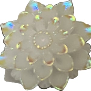 Iridescent white flowers for Shoe Charms and purse charms