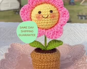 Smiley Daisy in a Pot Crochet, Crochet Mini Daisy, Mini Flower in a Pot Crochet, Smily Flower Potted, Smile Face Flower Ornament,Pink Daisy