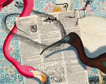 Encyclopedia Readers Collage Print – Vintage Bird & Flamingo Mixed Media Artwork