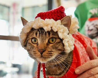 Santa Cat Hat Crochet Pattern