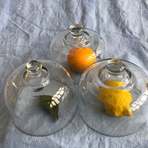 May include: Three glass cake domes with lids, each containing a different fruit: an orange, a lemon, and a green leaf. The domes are clear and have a smooth, rounded shape.
