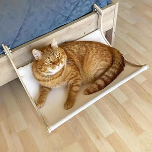 Può includere: Un gatto tabby arancione riposa in un'amaca di tela bianca attaccata a una struttura letto in legno. Il gatto ha un motivo a strisce. L'amaca è sospesa sopra un pavimento in legno chiaro.