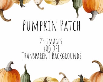 Pompoen Patch, aquarel pompoen clipart, gezellige herfst, aquarel herfst clipart, aquarel herfst clipart, PNG, val clipart, val bloemen