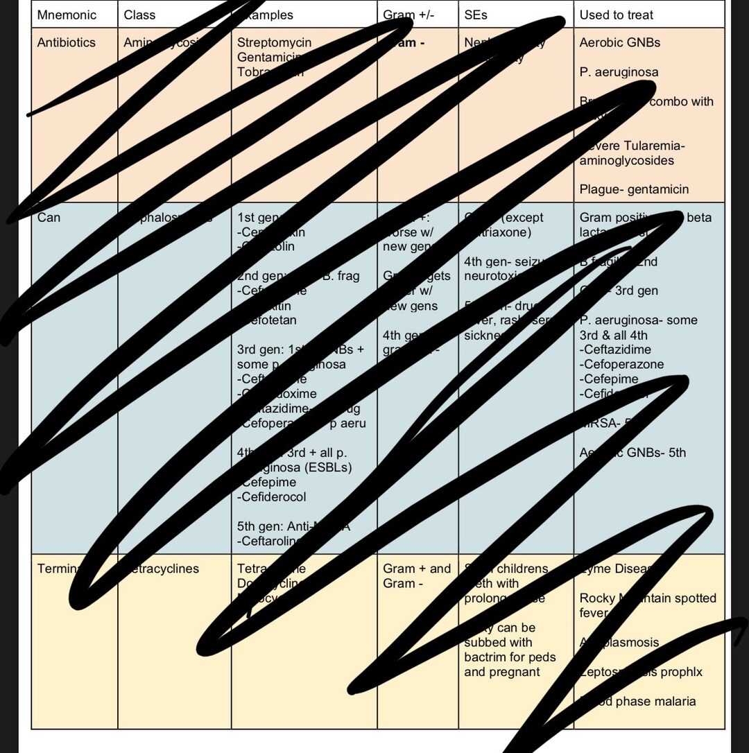 Antibiotic Intro Study Guide! - Etsy