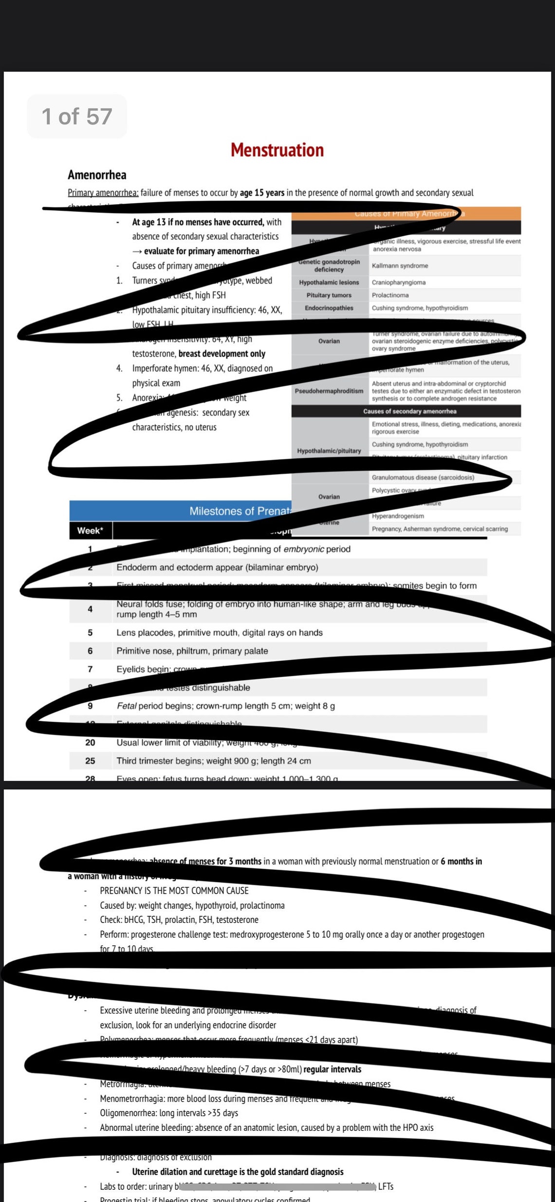 OBGYN Womens Health EOR End of Rotation Exam Study (Download Now) Etsy