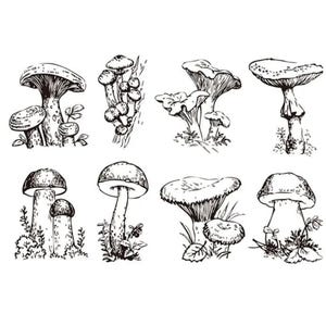 Puede incluir: Un conjunto de diez dibujos en blanco y negro de diferentes setas. Las setas están dibujadas en un estilo realista y presentan diferentes formas y tamaños.