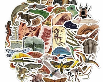 50pcs retro animals dinosaur fossil stickers pack reptiles insects fishes frogs