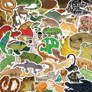 Paquete de 50 pegatinas de reptiles, lagartos, serpientes y ranas, de PVC, impermeables, para álbumes de recortes, diarios, cuadernos, manualidades infantiles y planificadores.