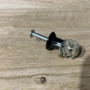 May include: A cabinet knob with a skull design. The knob features a weathered, off-white skull attached to a black base and a silver screw. The hardware is set against a light brown wooden surface.