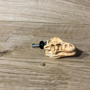May include: A cabinet knob in the shape of a dinosaur skull. The knob is off-white with brown detailing, and has a black and silver hardware attachment. This unique knob adds a prehistoric touch to furniture.