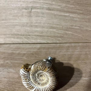 May include: A cabinet knob with a fossilised ammonite design. The knob has a spiral pattern in shades of tan, brown, and cream, with a silver-coloured metal screw. This unique hardware adds a natural, vintage touch to furniture.