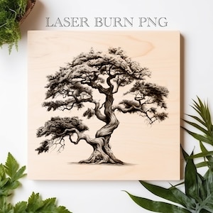 Puede incluir: Una ilustración en blanco y negro de un árbol nudoso con un tronco grueso y muchas ramas. El árbol está dibujado sobre un fondo de madera clara. El texto "LASER BURN PNG" está impreso sobre el árbol.