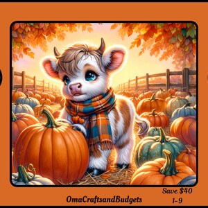 May include: A white and brown calf with blue eyes stands in a field of pumpkins. The calf is wearing a plaid scarf. The background is a fall scene with orange and yellow leaves.