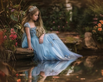 Cinderella digital background, Spring Digital Background, Fine Art portrait, children photography, fantasy composite, Fairy, Princess