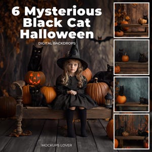 Halloween Black Cat Digital Background, Halloween Pumpkins Rustic Studio Backdrop, Cute Halloween, Custom Backdrop, Fall Family Portrait