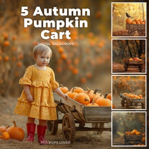 5 Autumn Harvest Digital Background, Pumpkins Cart, Fall Bundle, Farm Road, Fall Leaves Backdrop, Nature Photography Outdoor, Pumpkin Patch