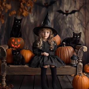 Halloween Black Cat Digital Background, Halloween Pumpkins Rustic Studio Backdrop, Cute Halloween, Custom Backdrop, Fall Kids Portrait Prop