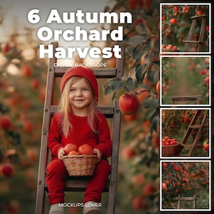 6 Apple Orchard Digital Background, Photography Composite, Fall Path Outdoor Photo Portraits, Childhood Photo, Autumn Harvest, Apple Tree