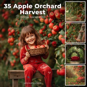 Apple Orchard Digital Background, Photography Composite, Fall Path Outdoor Photo Portraits, Childhood Photo, Autumn Harvest, Apple Tree