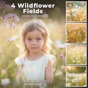 Wildflower Field digital backgrounds, Fine Art portrait digital backdrop, composite, Photography overlay, Soft Focus, Sunset