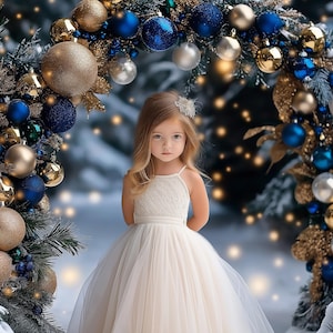 Weihnachten Bogen Digital Fotografie Hintergrund, Winter Wunderland Kulisse, Kinder Urlaub Porträt Foto Requisite, Photoshop Vorlage