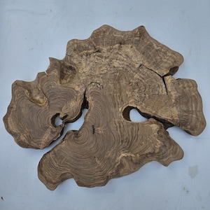 May include: A dark brown, natural wood slab with a distinctive, irregular shape and visible grain patterns. The slab features several holes and cracks, highlighting the wood's natural texture. This piece could be used decoratively or functionally, showcasing its unique character.