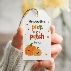 Può includere: Un'etichetta regalo rettangolare bianca con un cordino marrone. Il testo You're the pick of the patch from: è scritto in lettere colorate. Sotto, due zucche arancioni in stile cartoon con facce sorridenti, circondate da piccoli punti e cuori.