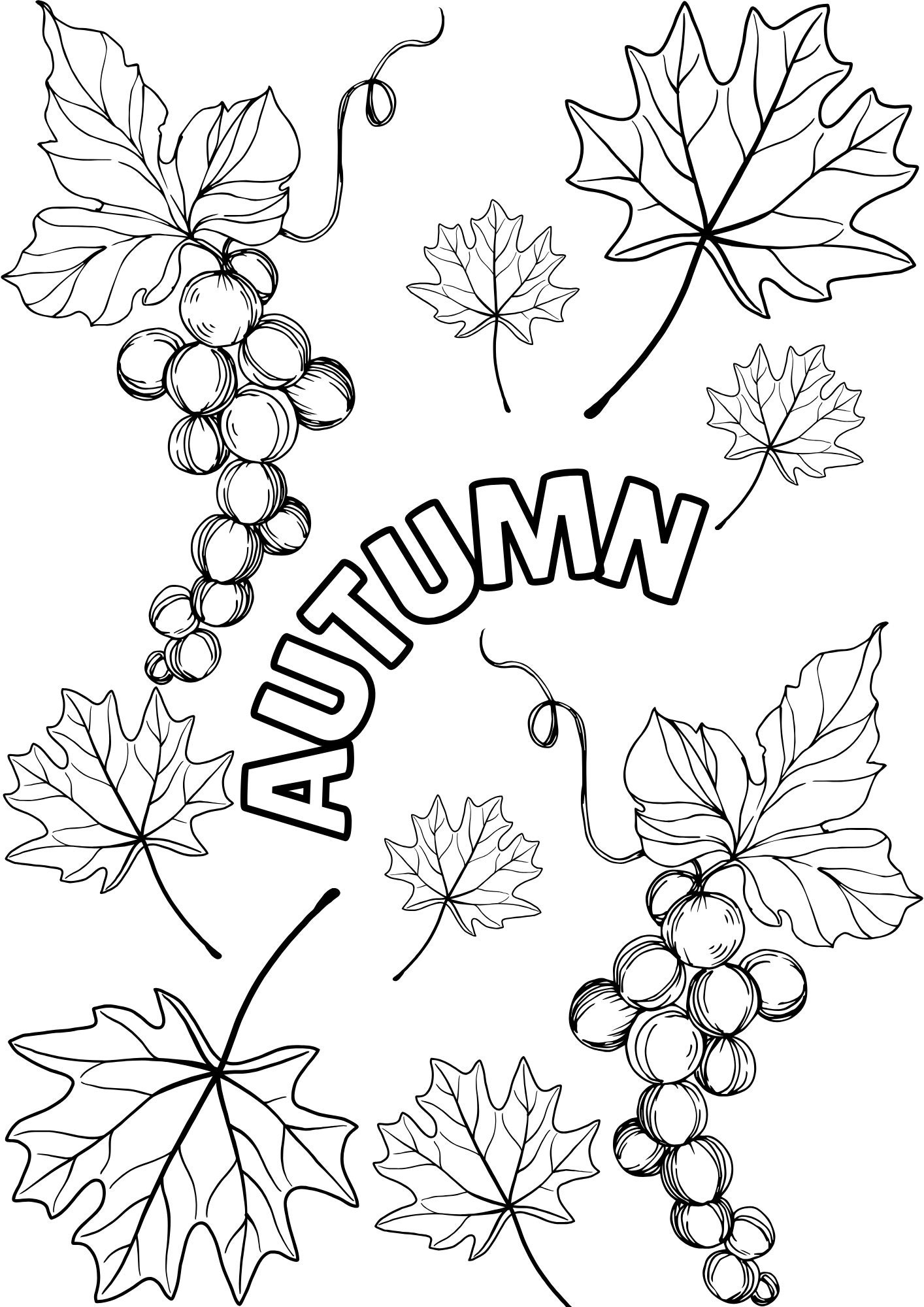 Autumn Colouring Pages Colouring Sheets Flowers Digital