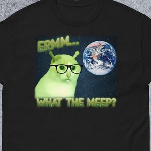 Erm What the Meep Funny Alien Cat Meme Tee Shirt Gift for Woman and Man, Brainrot T-shirt, Silly Cats Tshirt, Oddly Specific Dank Memes Tees
