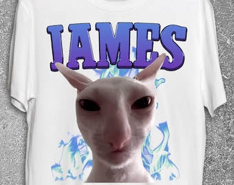 James Funny Cat Meme T-shirt, Silly Cats Shirt, Brainrot