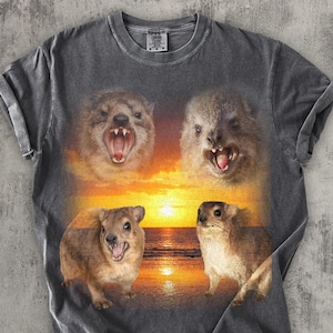 Vier Hyraxes Retro Grafik T-shirts, Vintage Hyrax Sonnenuntergang Shirt, Komfort Farben, Gag Geschenke, Dummes Geschenk, lustiges ironisches Shirt, Awawa Tee