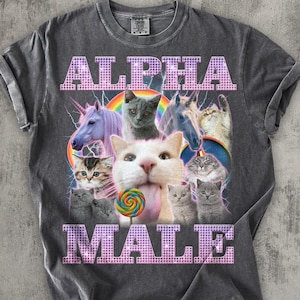 Può includere: T-shirt grigio scuro con le parole "ALPHA MALE" in rosa, lettere pixelate. La maglietta presenta una grafica di gatti, unicorni e cavalli con un arcobaleno e fulmini. Un gatto tiene in mano un lecca-lecca.