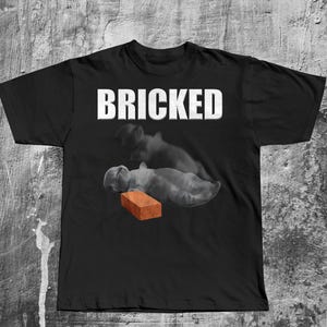 Bricked Funny Cat Knocked Out T-shirt, Cat Meme Shirt, Brainrot Tee, Silly Cats Tshirt, Unhinged Clothes, Weird Tees, Shirts That go Hard